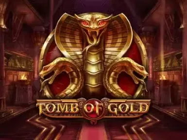Wyns Casino screenshot